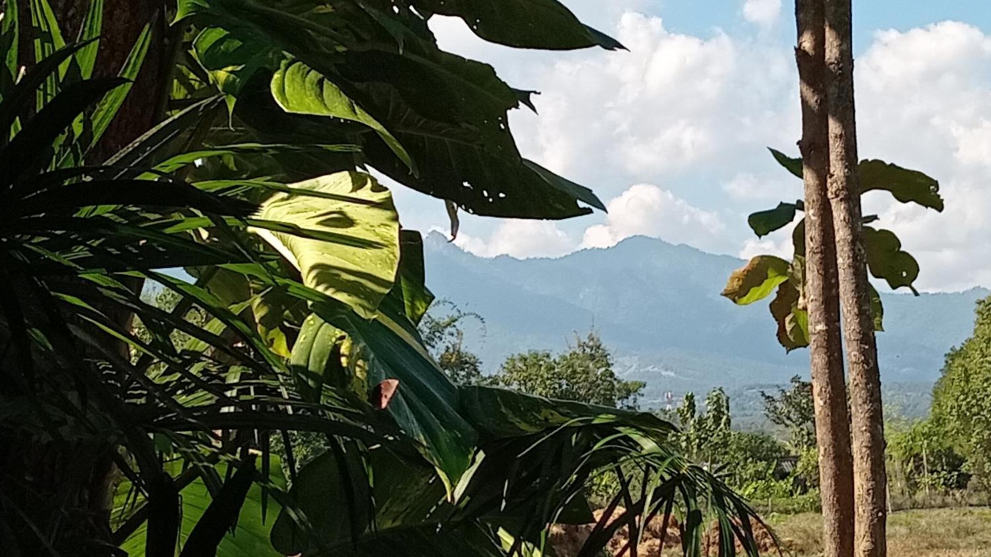 Chill In Pai Hotel Стая снимка